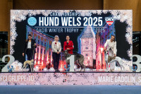 /album/undersharphill/att-n1yjk6d1ln6gstzbputlc8lsgf32sptrtwaeuooslro-jpeg/