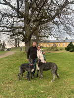 /album/undersharphill/img-2269-jpeg/