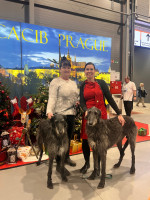 /album/undersharphill/img-2200-jpeg/