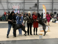 /album/undersharphill/att-hid7dx7osmwra-1mkbkwoewqwywjuzgppd1chupmk6i-jpeg/