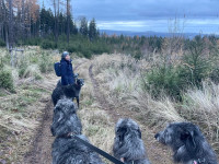 /album/undersharphill/img-4084-jpeg/