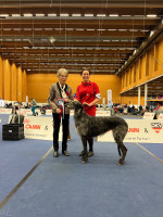 /album/undersharphill/img-2801-jpeg/