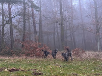 /album/undersharphill/img-1964-jpeg/