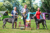 /album/undersharphill/img-5001-jpeg1/