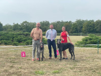 /album/undersharphill/img-0729-jpeg/