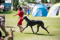 /album/undersharphill/img-4961-jpeg/