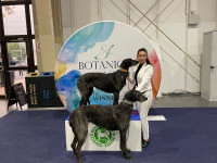 /album/undersharphill/img-1125-jpeg1/