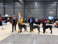 /album/undersharphill/img-7828-jpeg/