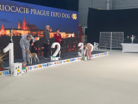 /album/undersharphill/5edcc677-27b9-41d8-80cf-f9c5664e3f69-jpeg/