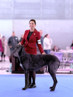 /album/undersharphill/img-9252-jpeg1/