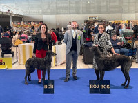 /album/undersharphill/img-2074-jpeg/