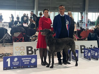 /album/undersharphill/img-0027-jpeg/