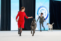 /album/undersharphill/att-atjg-dhr4rges83qzay-dftlqagbukw3pt9e4zozw-u-jpeg1/