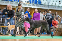 /album/undersharphill/att-0f8twytu5wfyvcf49x-hqptgfjbckudsjxtn4c325to-jpeg/