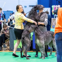 /album/undersharphill/att-qicp-mlag-tviiamw7u-wi3ffpounngn7h10qehun8k-jpeg1/