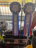 /album/undersharphill/img-0052-jpeg/