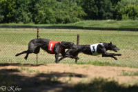 /album/undersharphill/img-2024-jpeg/