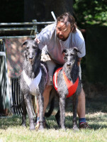 /album/undersharphill/img-2394-jpeg1/