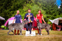 /album/undersharphill/058a1782-edit-jpeg/