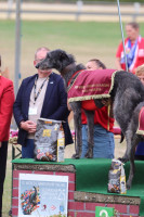 /album/undersharphill/img-0815-jpeg/