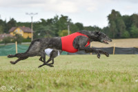 /album/undersharphill/img-1242-jpeg/