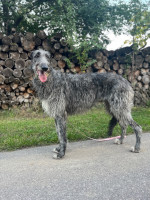 /album/undersharphill/img-1488-jpeg/