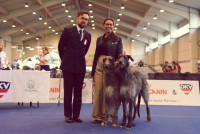 /album/undersharphill/45ea7423c01860e1d4ad92e5dc428185-jpeg/