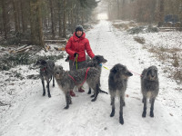 /album/undersharphill/img-4165-jpeg/