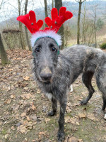 /album/undersharphill/5006a1e3-489e-4f78-91e6-bd15c8513ec8-jpeg1/