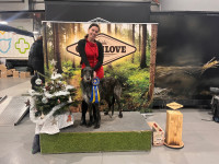 /album/undersharphill/img-2185-jpeg/