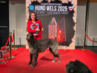 /album/undersharphill/img-2105-jpeg1/