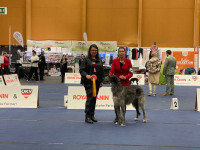 /album/undersharphill/img-4055-jpeg/