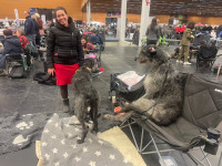 /album/undersharphill/img-4041-jpeg/