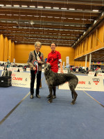 /album/undersharphill/img-2803-jpeg/