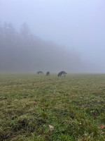 /album/undersharphill/img-1918-jpeg/