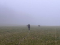 /album/undersharphill/img-1927-jpeg/