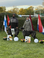 /album/undersharphill/att-u2azh1qjjo5do9r8ldzv-whfxtutvciuigukizgdaua-jpeg/