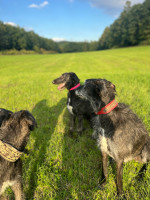 /album/undersharphill/img-1314-jpeg/