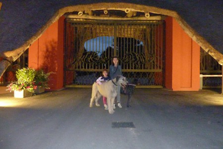 Safari Dvůr Králové