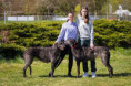 /album/fotogalerie-vrh-a-litter-a-stenatka-deerhound/img-0002-jpeg/