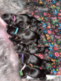 /album/fotogalerie-vrh-ch-litter-ch/img-3376-jpeg/
